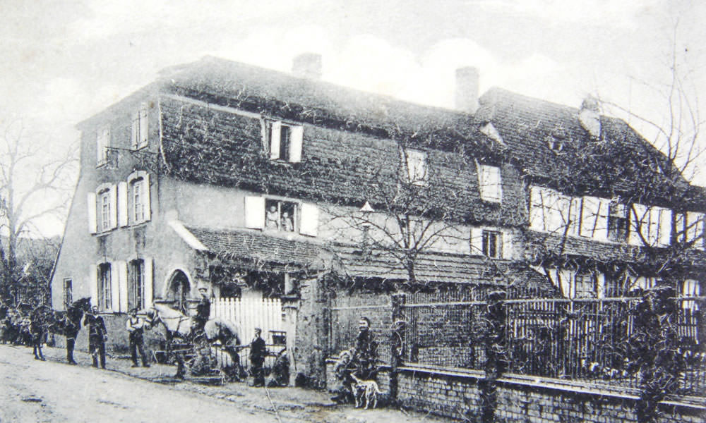 Auberge à l'Arbre Vert - Table traditionnelle renommée située à Weyersheim  (Alsace)